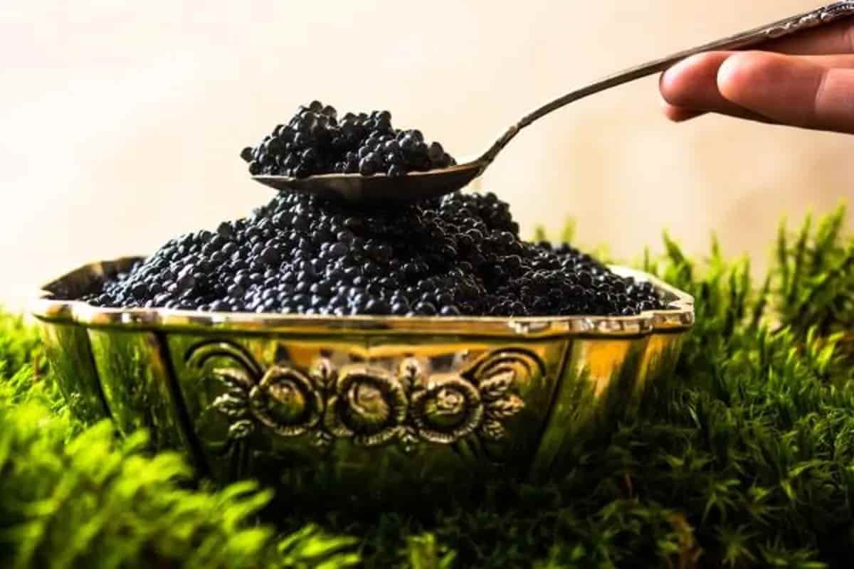 تصویر 2 از خرید و قیمت خاویار سیاه امپریال بلوگا + فروش صادراتی